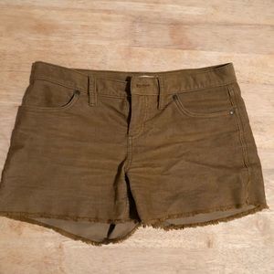 Carve designs shorts